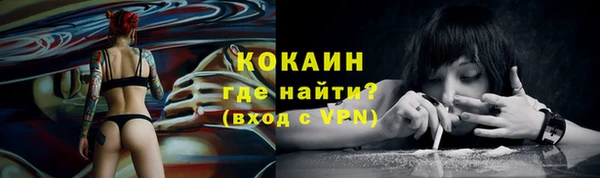 альфа пвп Саяногорск