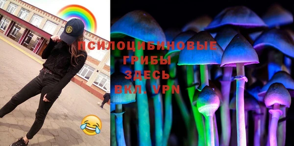 ешки Верхний Тагил